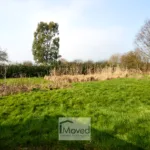 Rear Garden-2