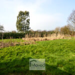 Rear Garden-2