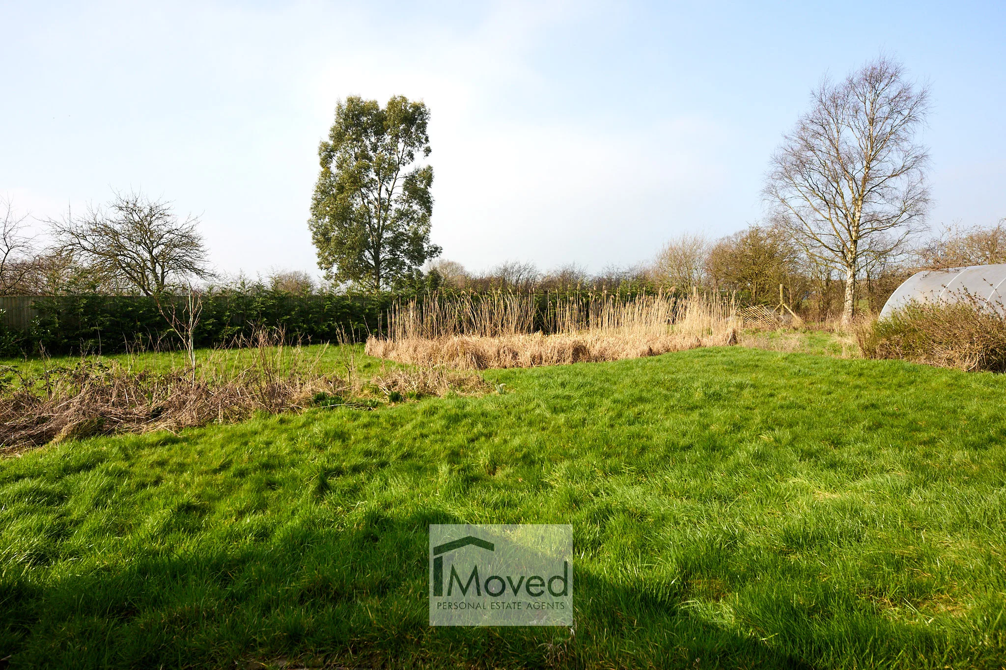 Rear Garden-2