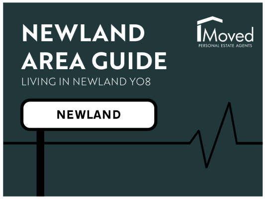 NEWLAND Area Guide